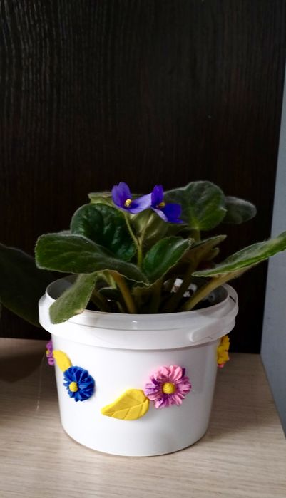 Продам цветущие фиалки.