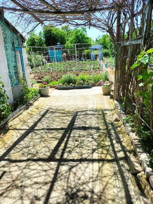 Продам дачу на Беловке