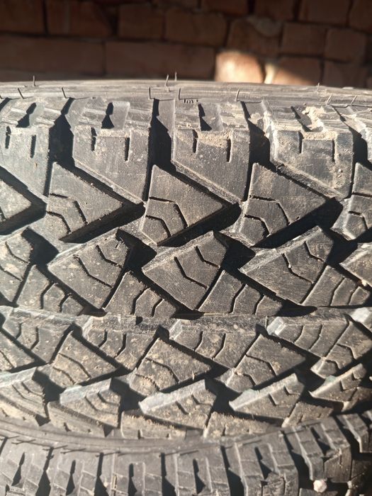 Продам гризевые шины