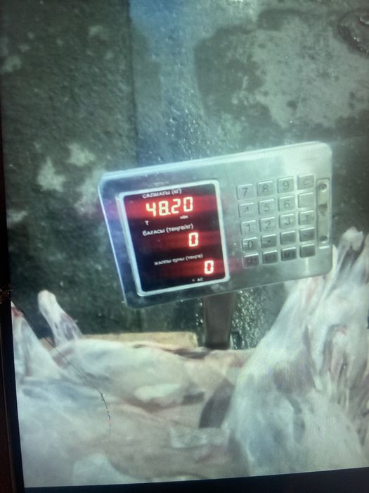 Қой етін қабылдаймын 2900