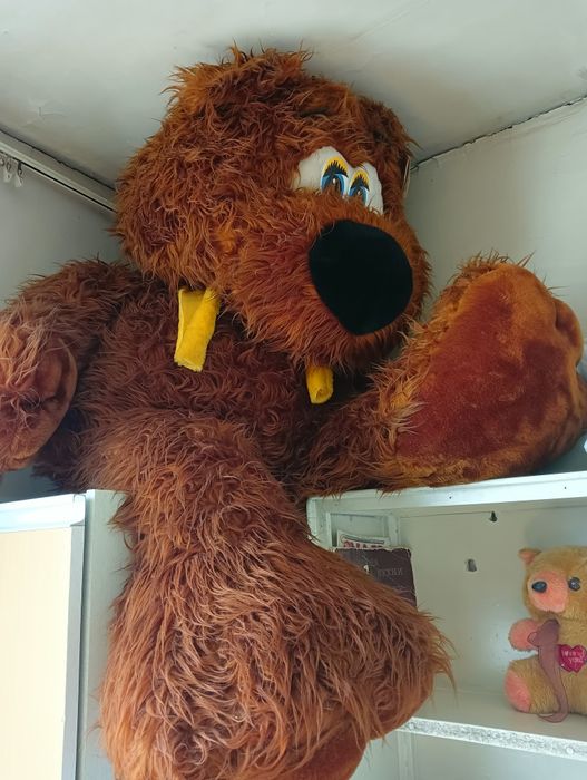 Продается медведь.