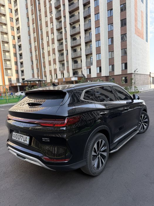 Byd champion Hybrid sastayanasi ideal