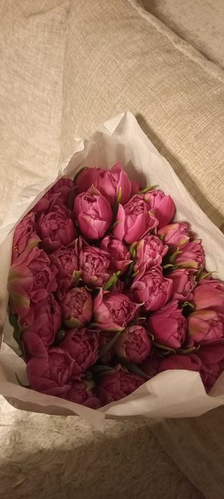 Продаю тюльпаны!!!