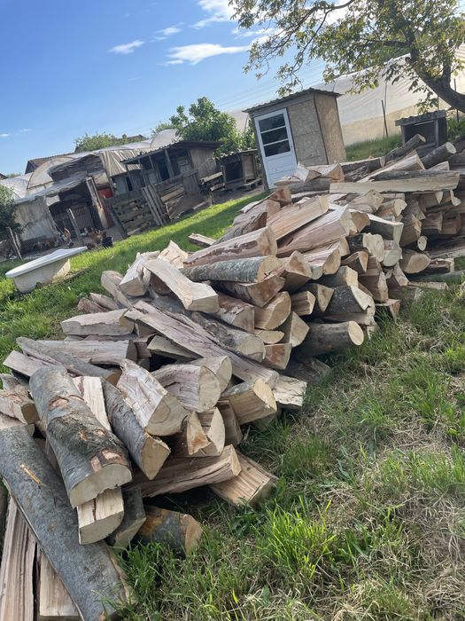 ‼️Vindem lemne de foc la cel mai bun preț din județ