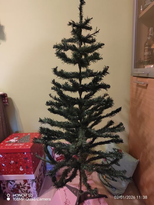 Елха 110см.    .