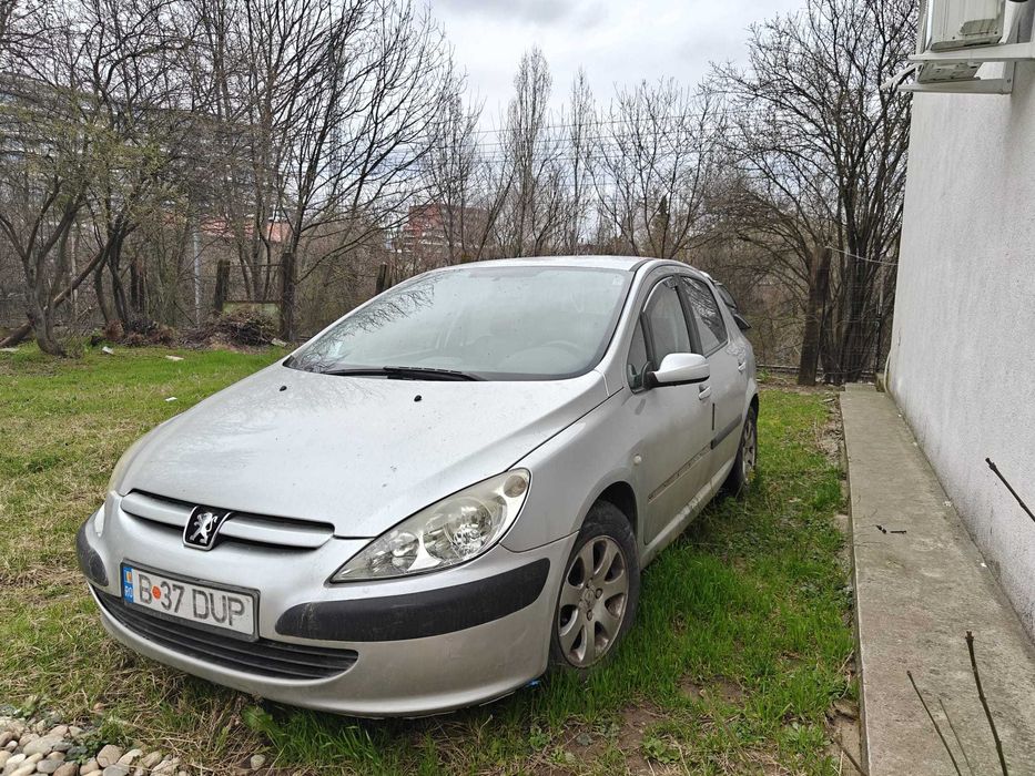 Peugeot 307 -  1,6 benzina - 2005
