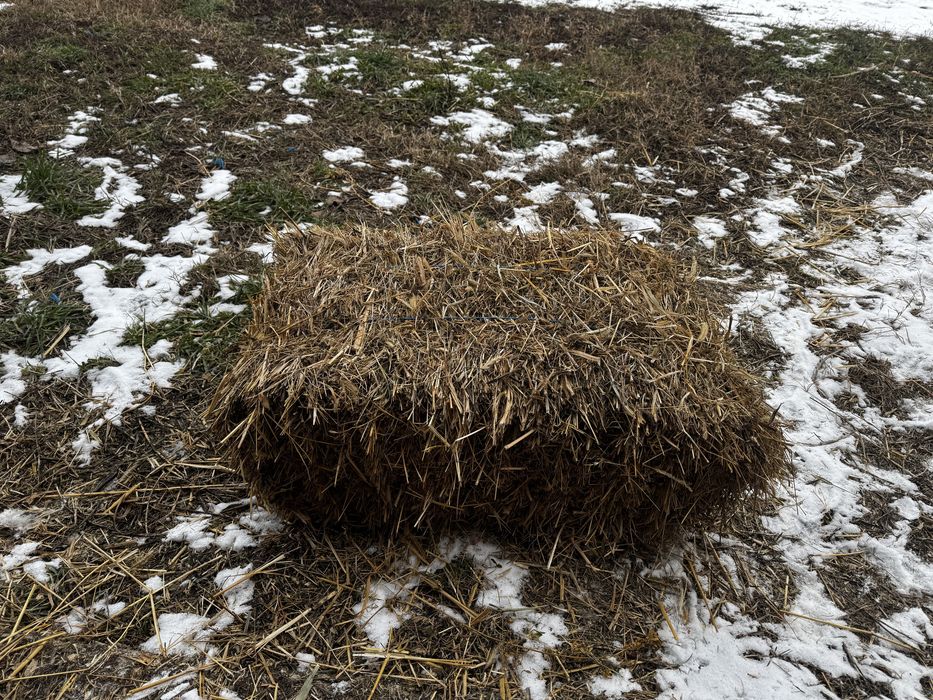 Baloti de lucerna si paie