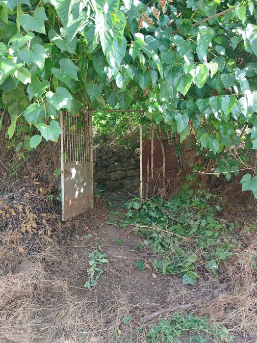 Продава се Къща в Тутракан - 150 кв.м за 68 €/кв.м - Снимка #1