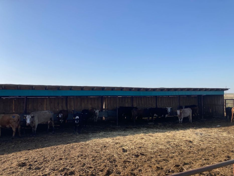 Крестьянское Хозяйство продам