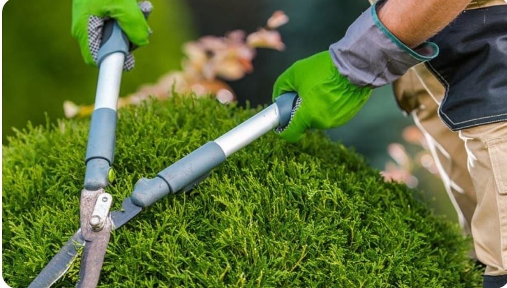 Gradinar / Îngrijitor curți