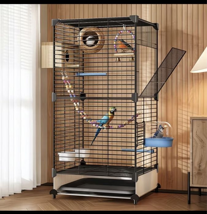 Папугай волнистый