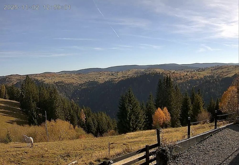 Vand teren Marisel Cluj