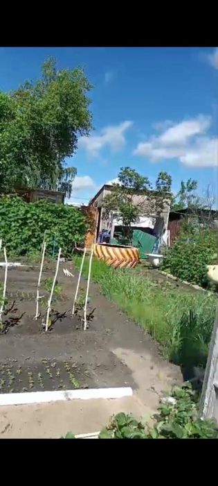 Дачный участок с постройками