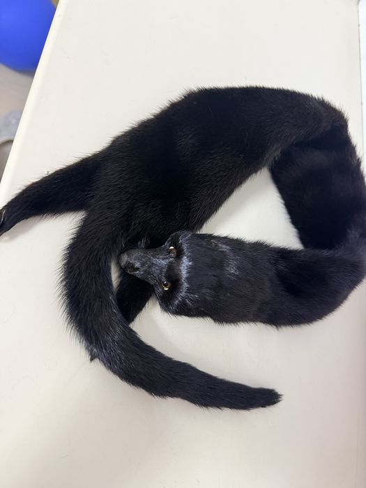 Продается воротник норка и вернобурка