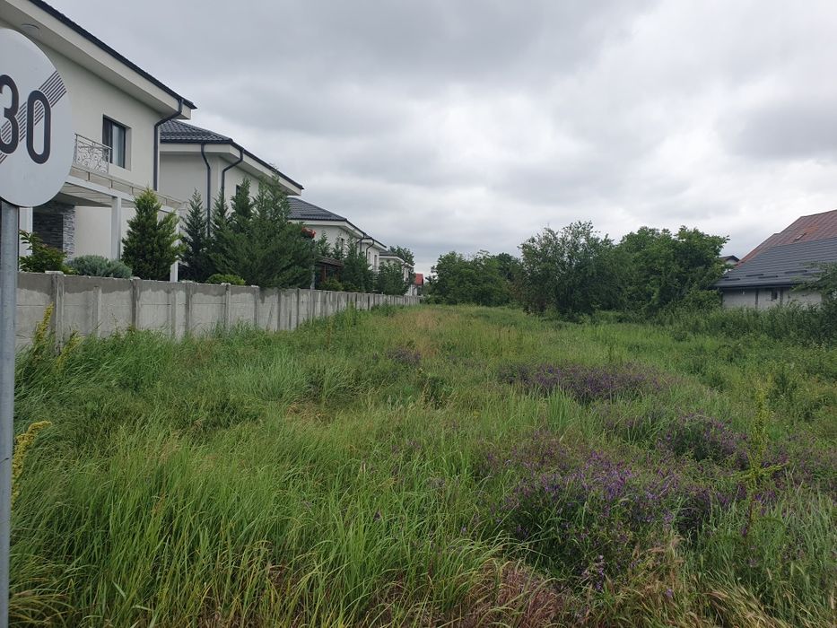 Teren Dragomiresti Deal