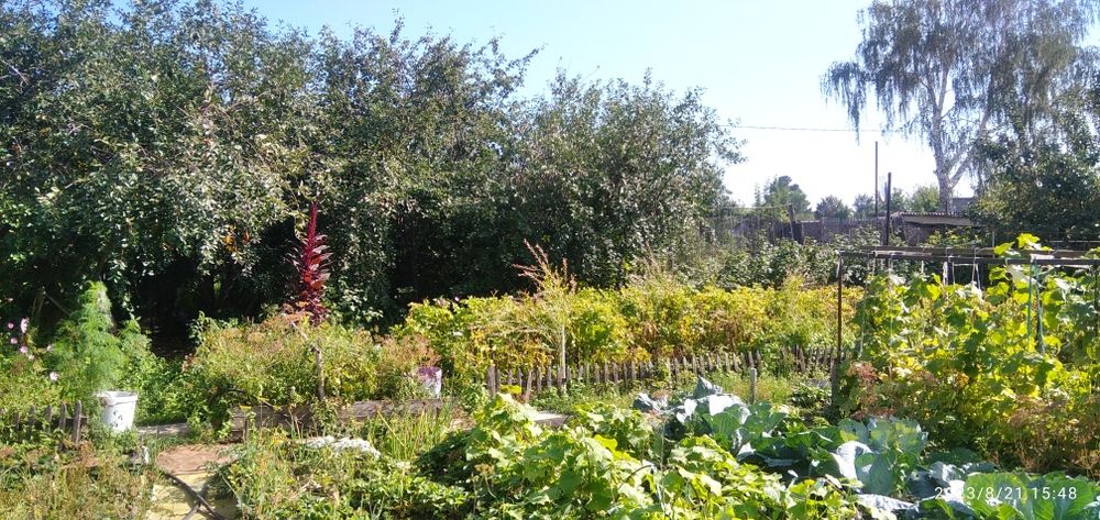 Дача недвижимость