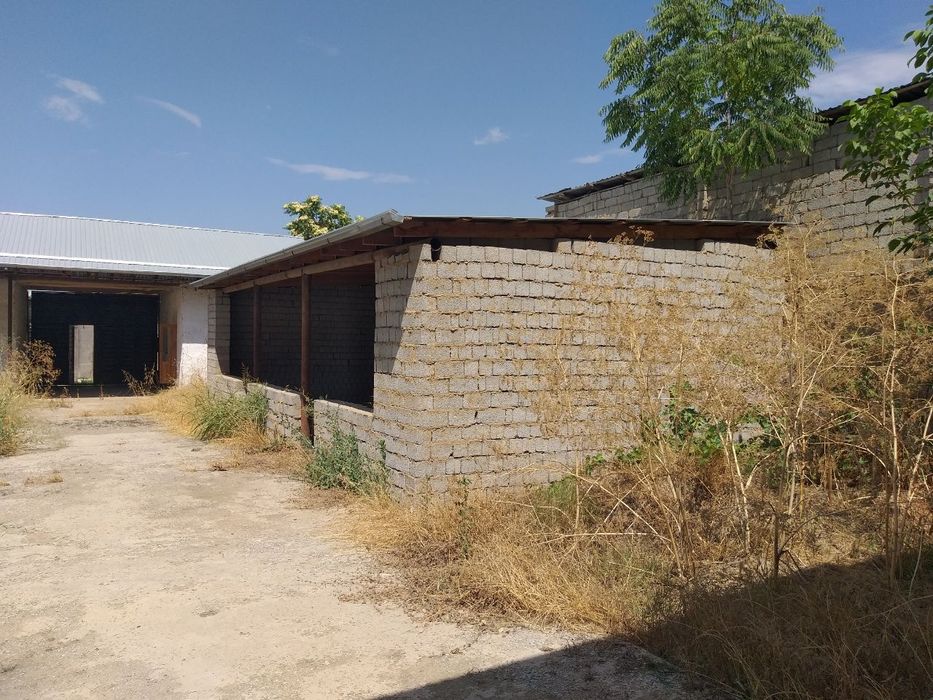 Дом Зангиота 8 сот,10 комнат