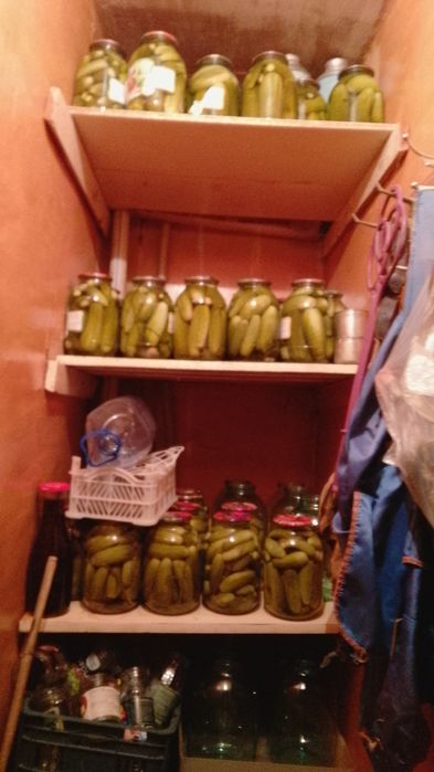 Продам огурчики мелкие