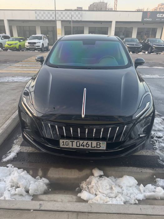 Hongqi EQM-5  (450 km)