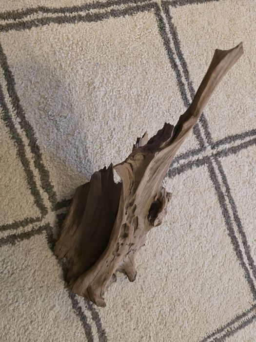 Decor acvariu , terrariu