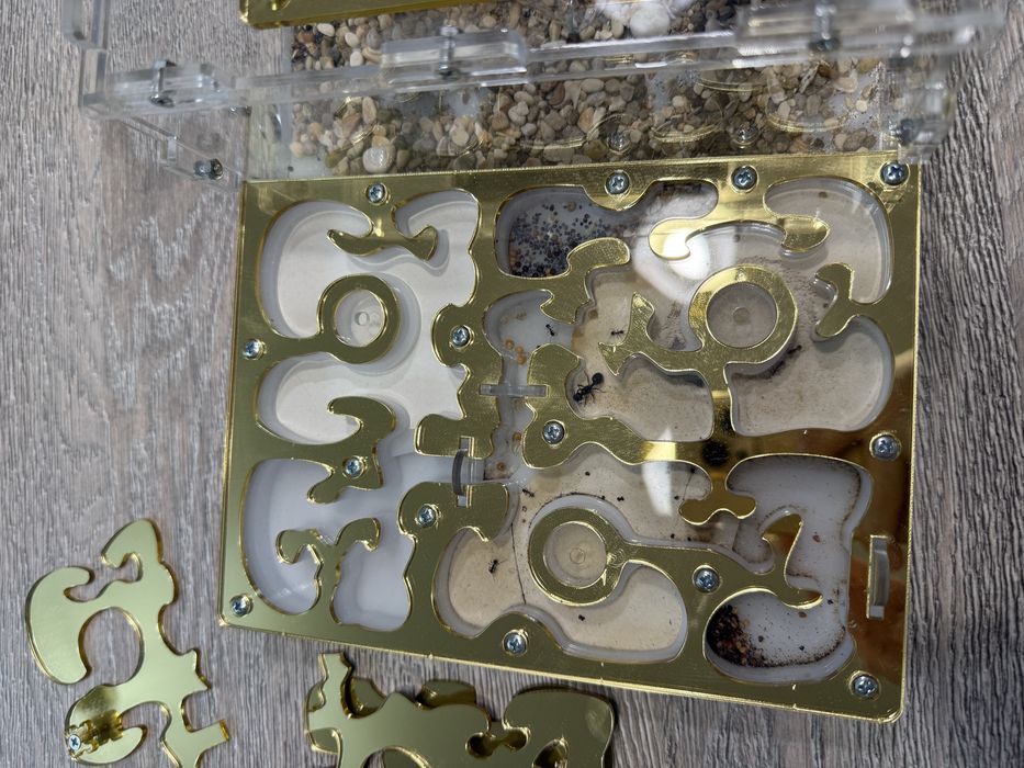 Муравьиная ферма, б/у