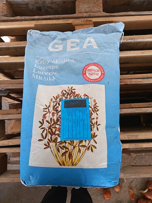 Продам семена люцерны