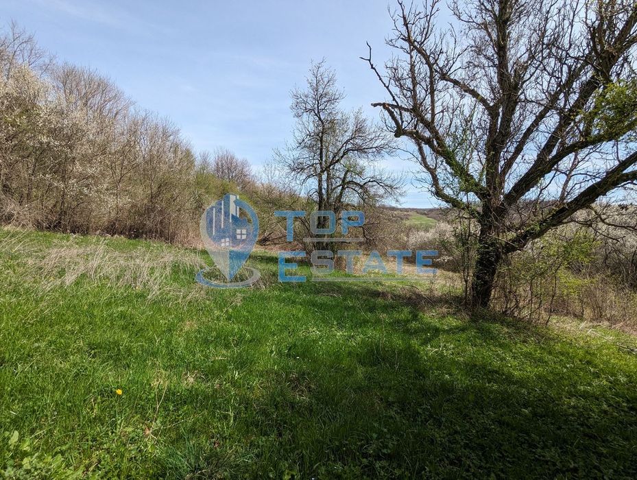 Продава се Парцел в Елена - 1000 кв.м за 12 €/кв.м - Снимка #6