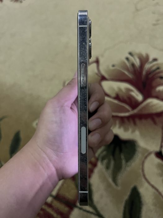 Apple 12 pro max