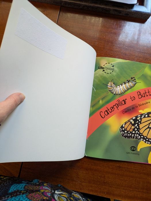 Set 2 carti in engleza din seria  Life Cycles  Fluturi si rechini