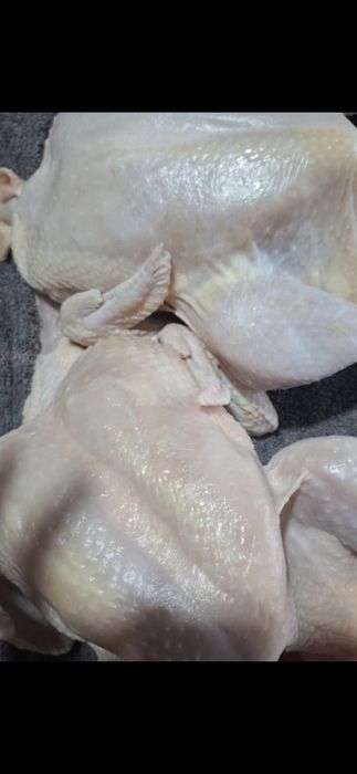 Продам мясо бройлера!