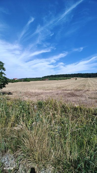Teren extravilan de vânzare – Bârsău, județul Hunedoara – 7 hectare