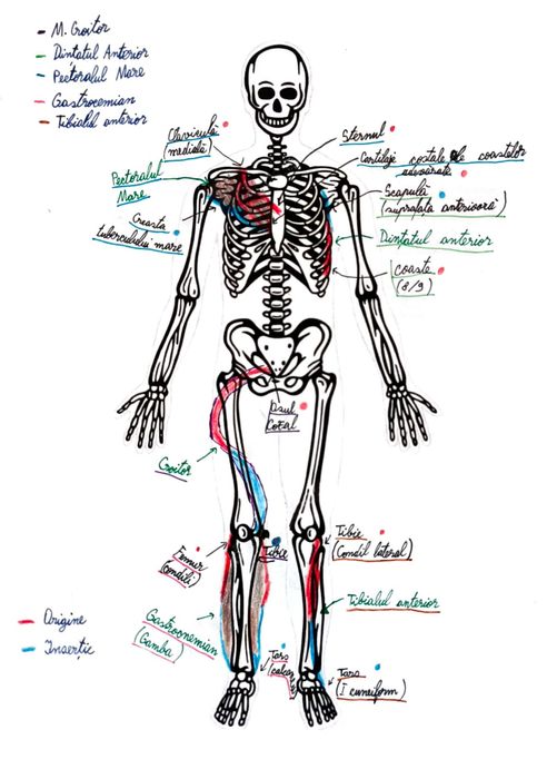 Meditații medicina Barron's și bac chimie organica + bac biologie