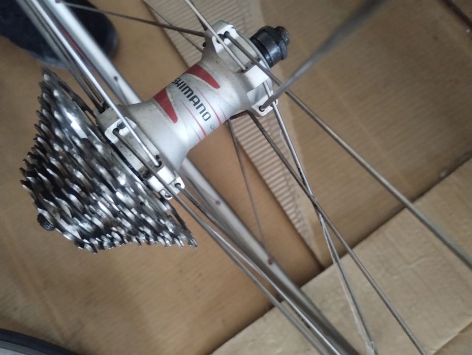 roti cursiera Shimano
