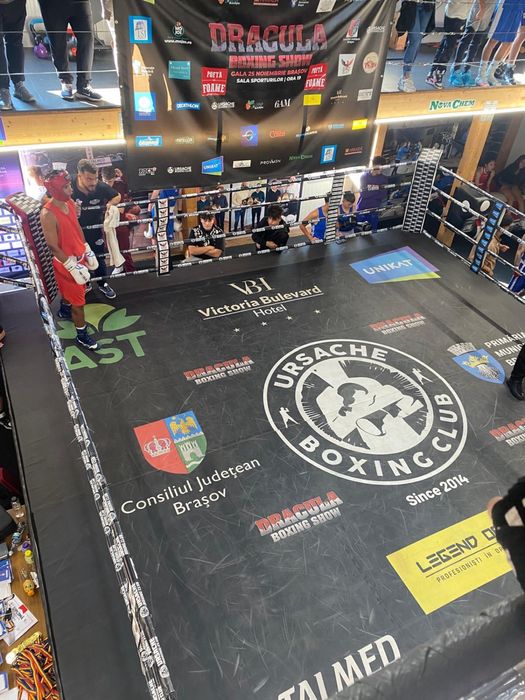 Ring de box de vanzare