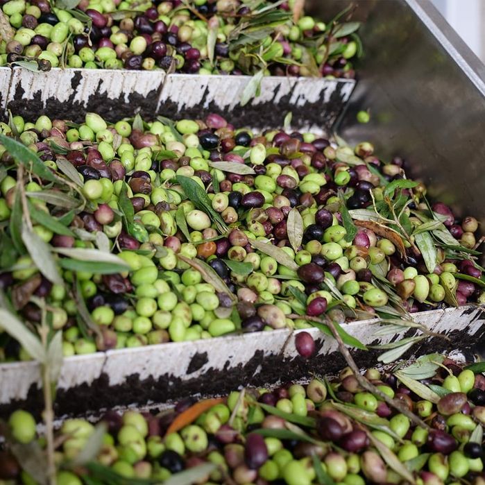 Ulei de măsline Grecia, brut, cu pulpă