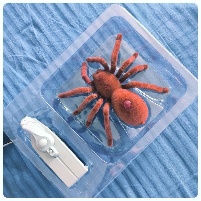 Паук на пульте управления