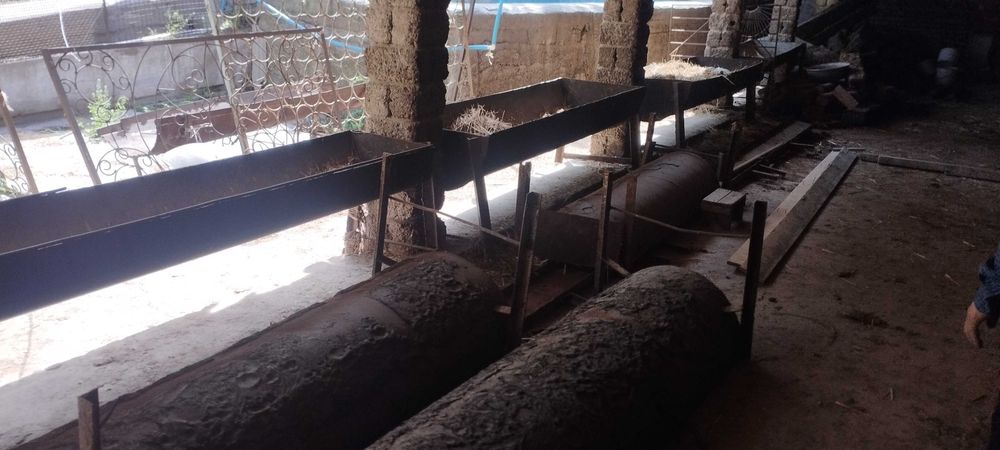 Oxir mollarga va qõylarga