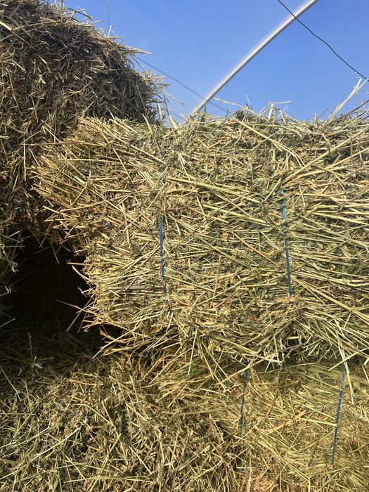 Baloti lucernă si de coceni(asigur transport contra cost motorina)