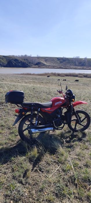 Racer Alpha 50CC-110