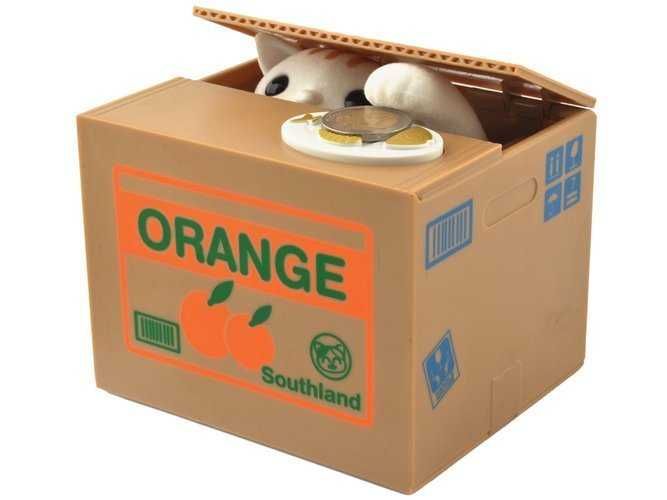 Касичка - коте и куче