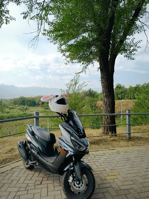 Мопед Лия макси 175