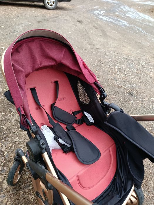 Коляска 2 в 1 Amilie