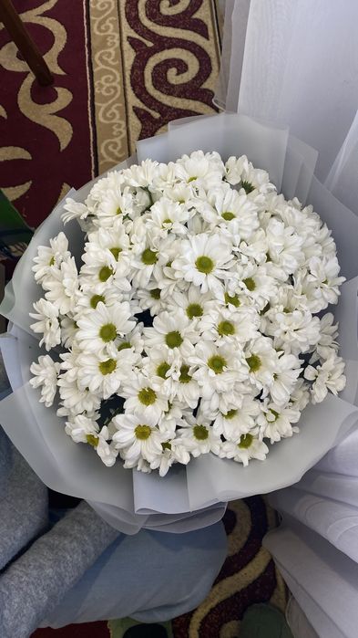 Продам цветы срочно