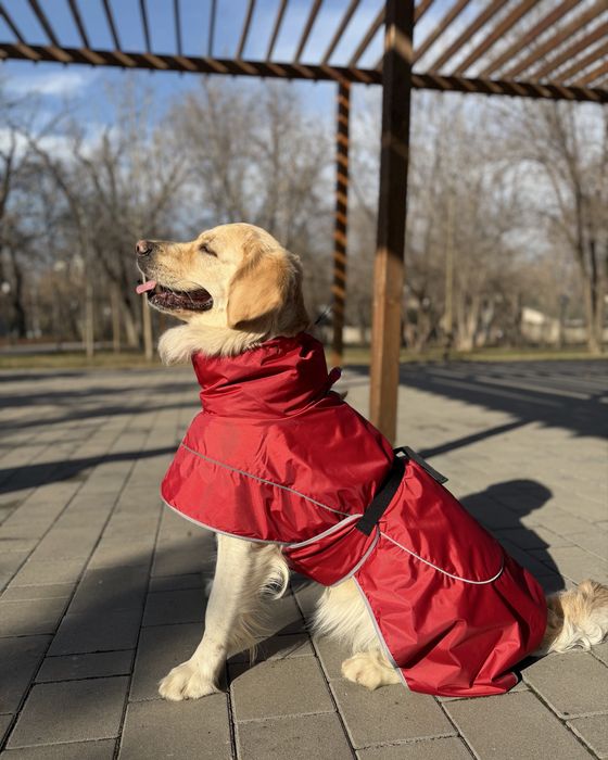 Дождевик для собак