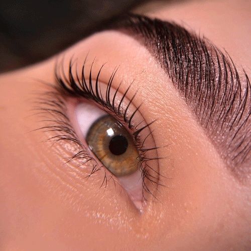 5000 тысяч Ламинирование ресниц