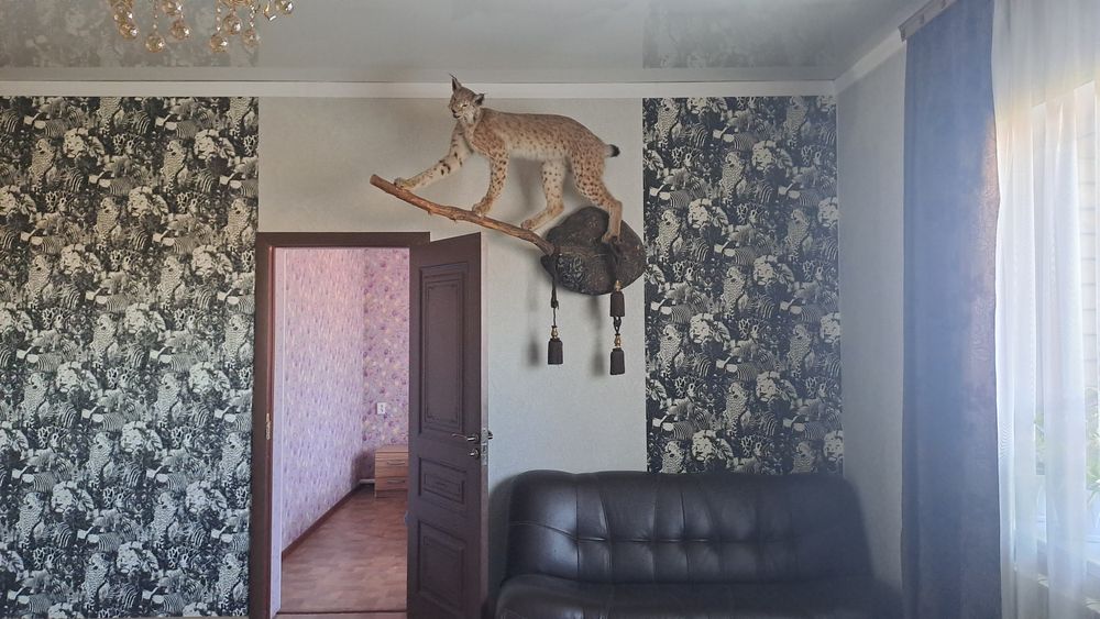 Сдаются в аренду дома за городом