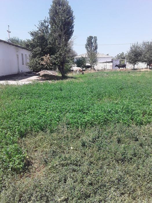 Uy sotiladi tosh vil bo'ka