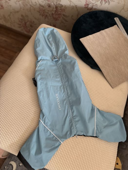 Одежда для собак