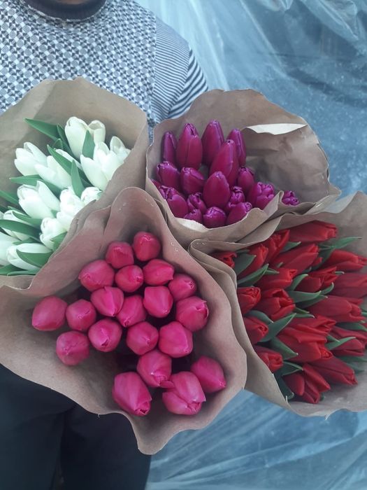 Тюльпаны в Алматы Алматинской облости