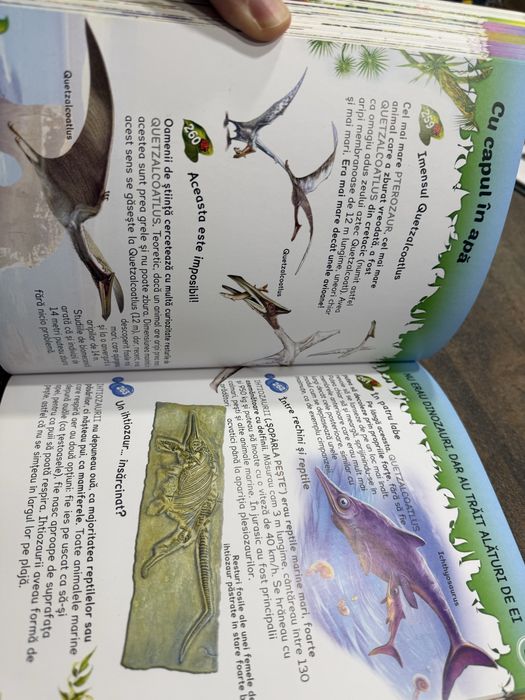 500 Întrebări și Răspunsuri despre Dinozauri Editura FLAMINGO